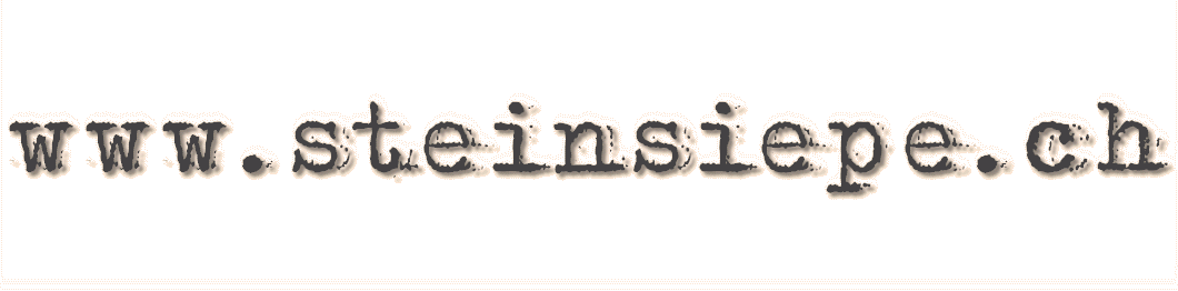 www.steinsiepe.ch